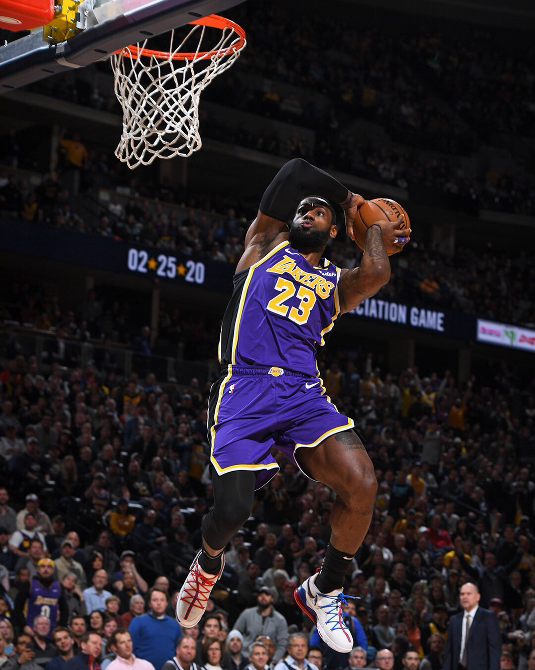 但都将竭尽 但都将竭尽