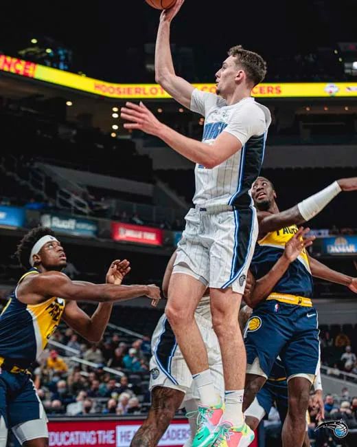 引入归化球 引入归化球